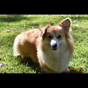 Meet your Posher, Robyn